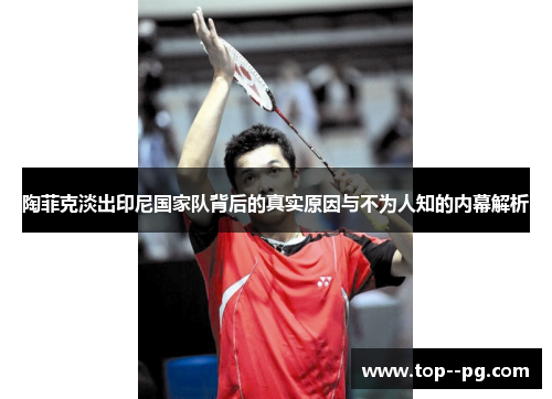 陶菲克淡出印尼国家队背后的真实原因与不为人知的内幕解析 陶菲克淡出印尼国家队背后的真实原因与不为人知的内幕解析