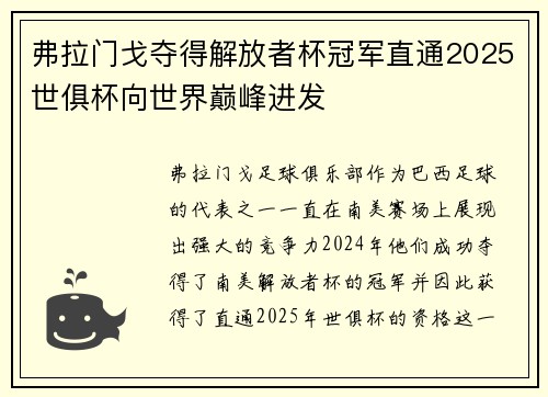 弗拉门戈夺得解放者杯冠军直通2025世俱杯向世界巅峰进发 弗拉门戈夺得解放者杯冠军直通2025世俱杯向世界巅峰进发