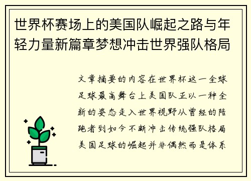 世界杯赛场上的美国队崛起之路与年轻力量新篇章梦想冲击世界强队格局